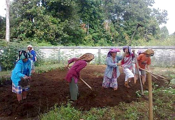  Marsiadapari, Upaya Melestarikan Budaya Gotong-Royong