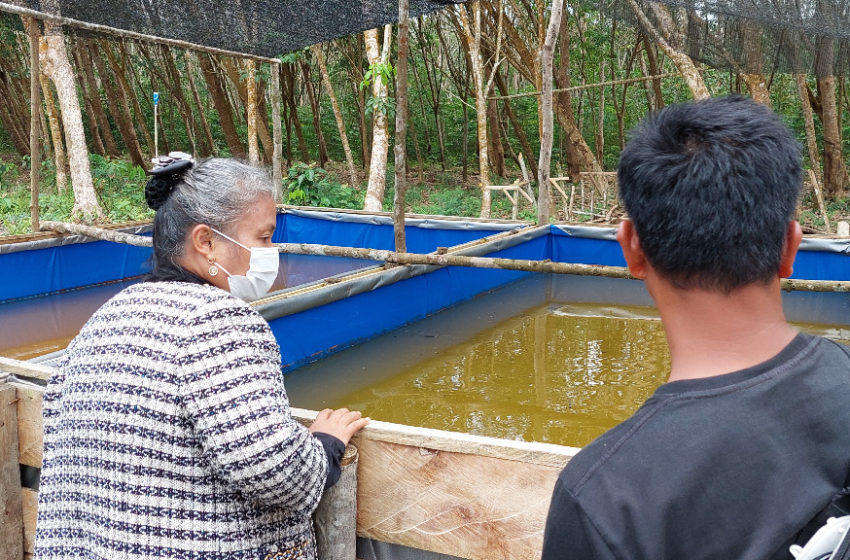  Kadep Diakonia HKBP Hadir & Menjadi Saksi Perayaan Jubileum 50 Tahun Zending HKBP di Pulau Rupat