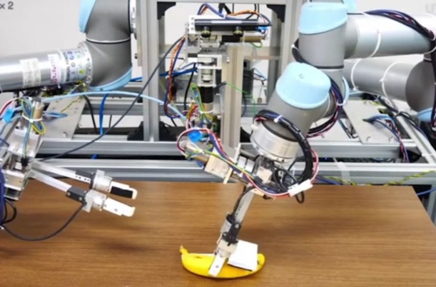  Robot Jepang “Dididik” Mampu Mengupas Pisang!