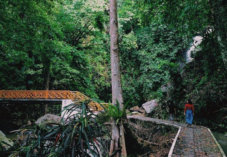  Lampung Lakukan Rehabilitasi Hutan