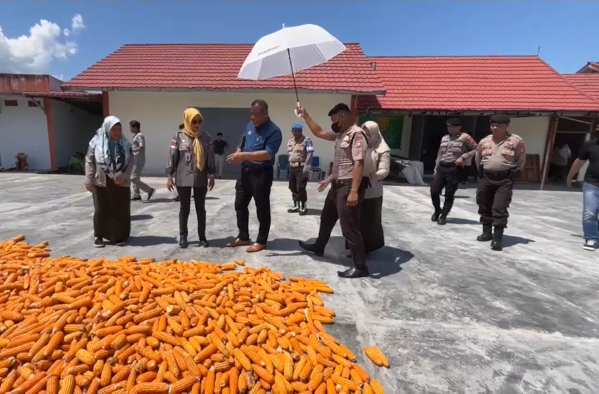  Malaysia Datang Langsung Belajar Pengolahan Jagung di Gorontalo