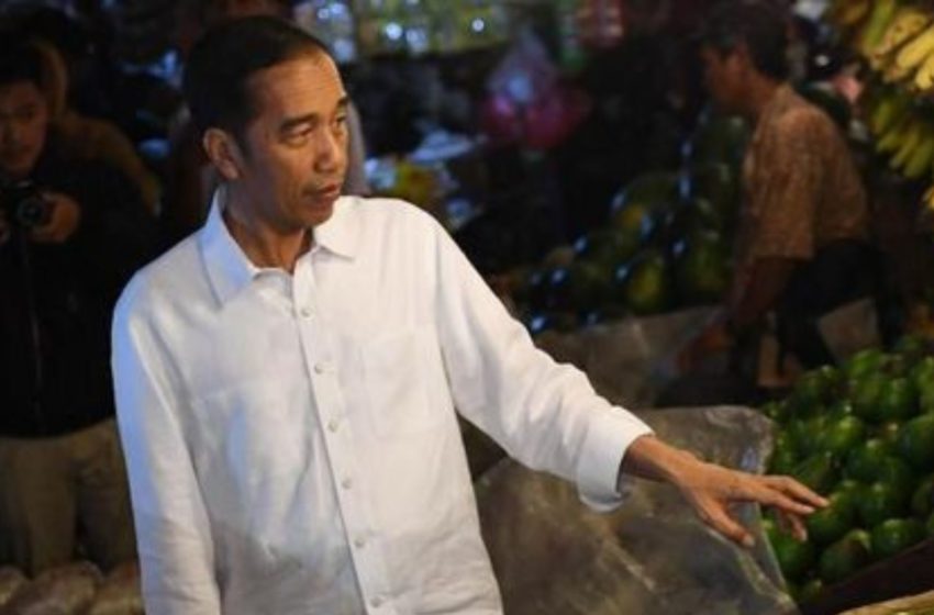  Presiden Jokowi Hampir Santap Makanan Berformalin Saat Liburan ke NTT